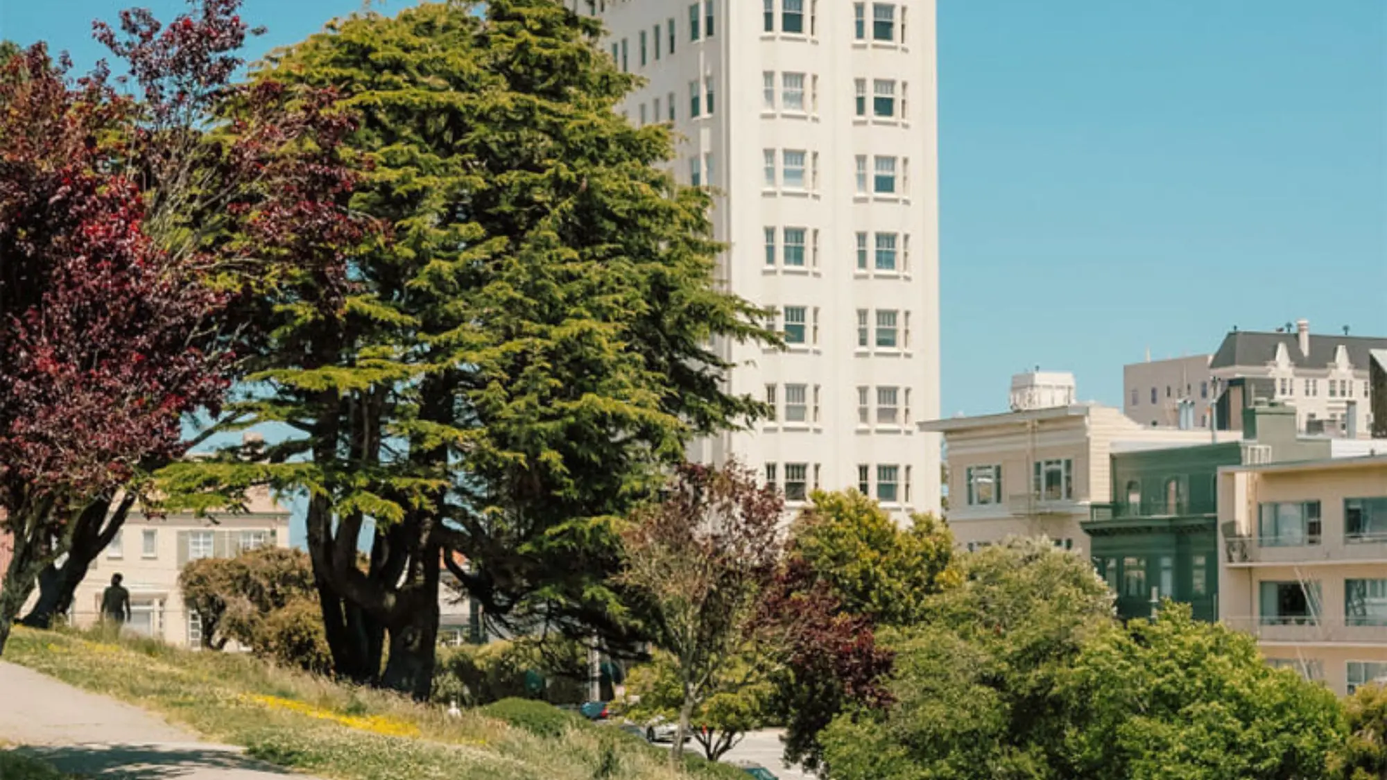 Exploring the Best Adventure Book Genres